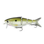 BBZ Bio-Shad Crankbait _ FCS-4-TS.02.01_543326a0-02db-4f59-a33f-acc955ce8ab4