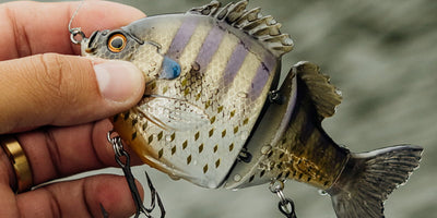 Hard Baits