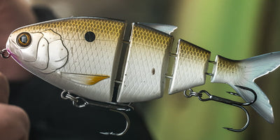 Swimbaits