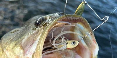 Wire Baits