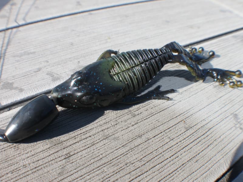 Nature Series Creature Baits - Flippin' Frog _ Flippin-800-01