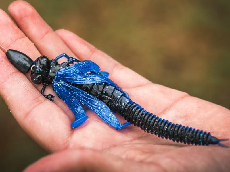 Nature Series Creature Baits - Flutter Nymph _ Flutter_Nymph-800-01