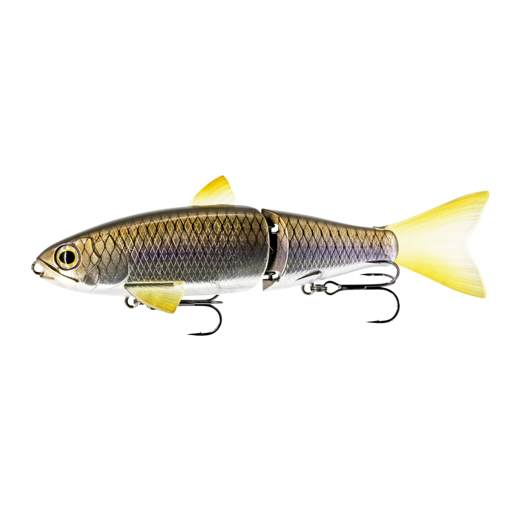 Pro Hydra Glide Bait _ GB-8-H_P_1_95298ddd-480c-4f1b-a92b-ecf26fe751cb