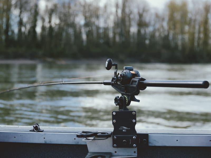 okuma boat casting rod 7 length heavy power fast action Savannah 842: ft / Medium / Split / and the tapered cork grip with contoured EVA rear grip design ensures a secure hold. Okuma Cat Tamer Spinning Rod