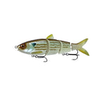 BBZ Hard Swimbait _ HS-45-RBM_P_1-icastaward_43884fc5-d7e8-4375-a3c2-a4f02b8fb8c5