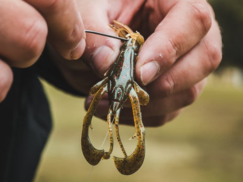STILL ALIVE/ブレイキング・エヴリシング Nature Series Kickin Craw | FishLab