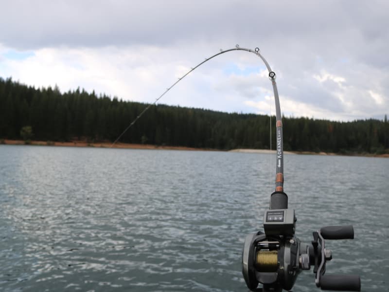okuma black rod Carp Custom 2PC Western Accessories Kokanee Black Rods | Okuma