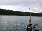Kokanee Black Rods _ Kokanee_Black-800-01