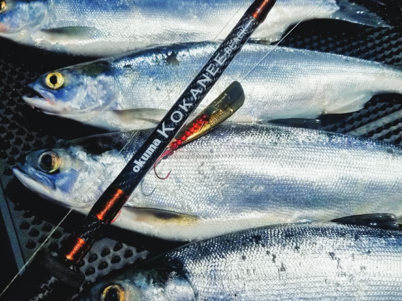 Kokanee Black Rods KB-C-902ML