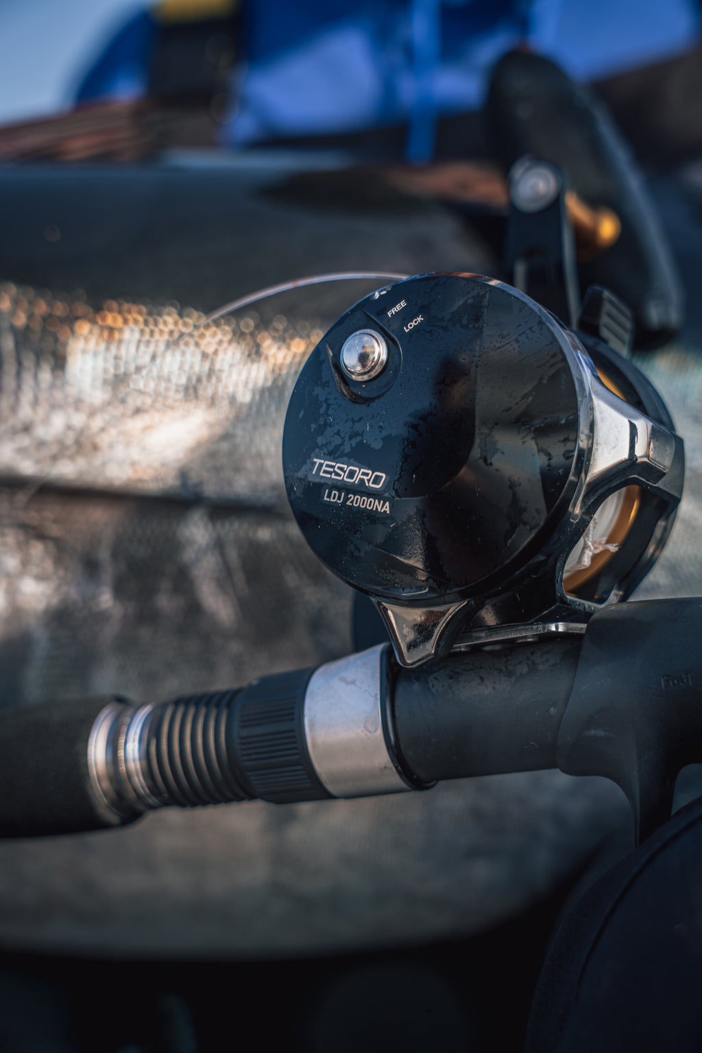 Okuma Tesoro Reel with a tuna n the background