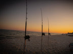 Makaira Abalone Series Offshore Trolling Rods _ Makaira_LBS_Rods-800-01