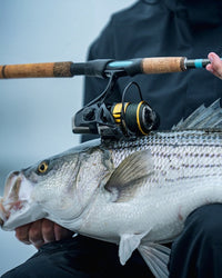 For Coastal Striper