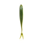 Nature Series Darting Swimmer _ NSDF-675-BB_P_1