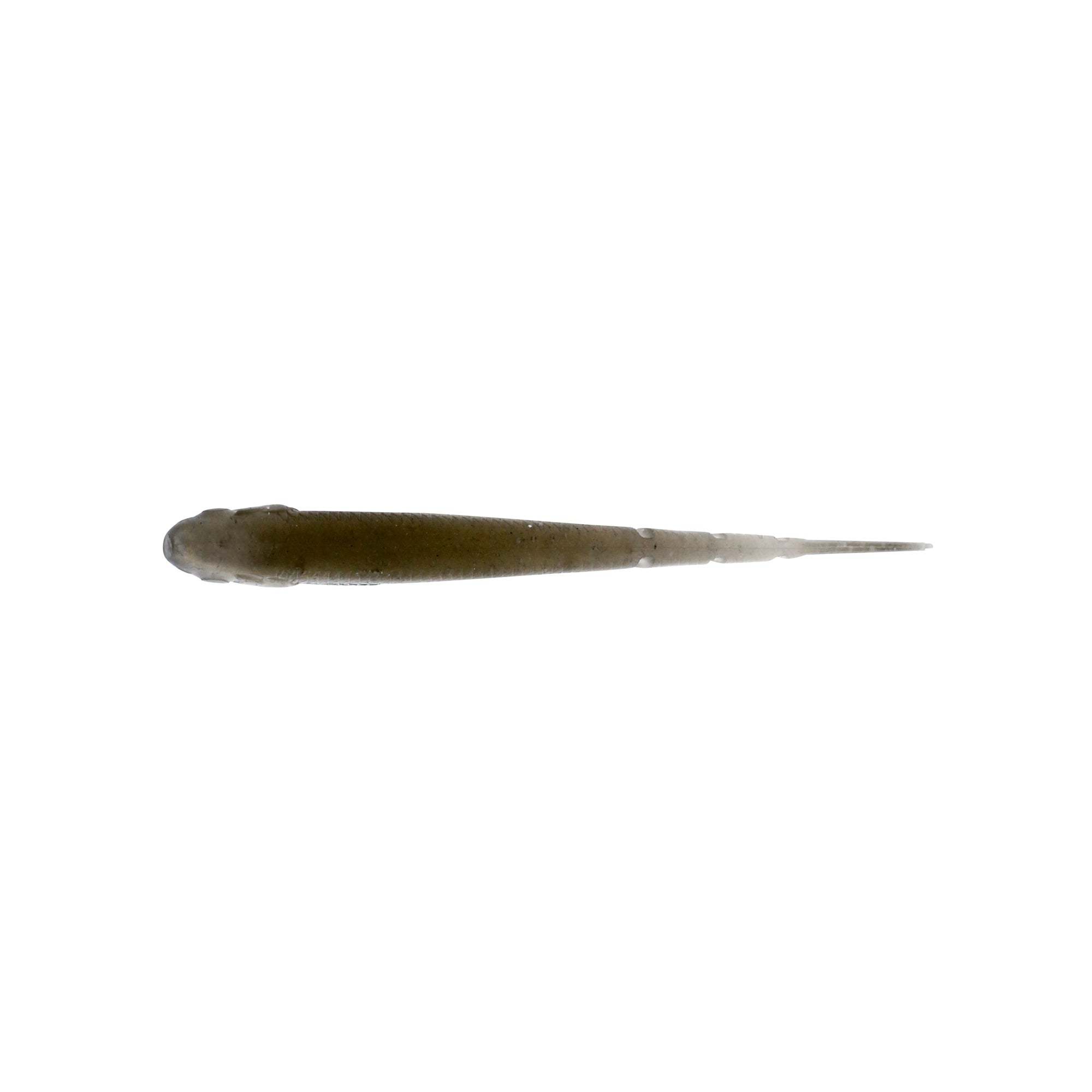 Nature Series Minnow _ NatureSeriesMinnow_TennesseShad_A_2