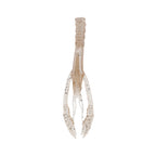 Nature Series Neko Flex Craw _ NatureSeriesNekoFlexCraw_LakeShrimp_2