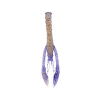 Nature Series Neko Flex Craw _ NatureSeriesNekoFlexCraw_PBJ_2_cdf698cf-d84e-43e2-a8bd-90e8dfc7e360