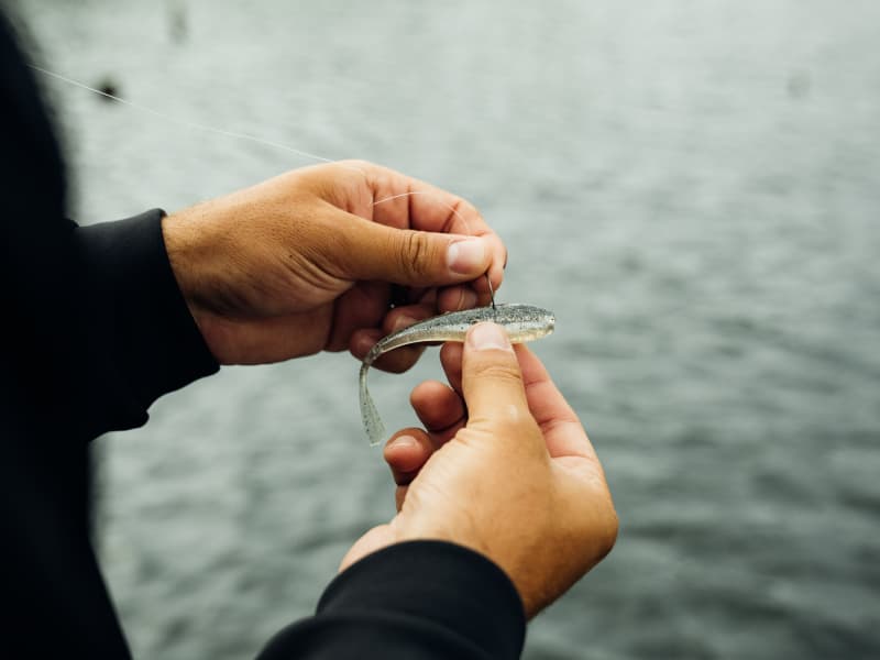 Nature Series Neko Flex Shad _ Neko_Flex-800-01