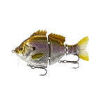 Bio-Gill Wakebait Pro _ PBW-4-WG_P_1_fa262ad4-ffef-4ab2-b634-6d671524885f