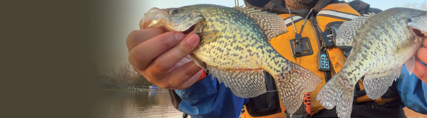 Crappie & Panfish