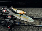 Pro Hydra Glide Bait _ Pro_Hydra-800-01