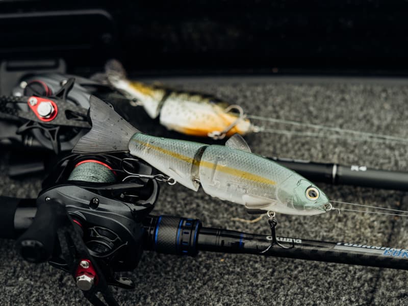 Pro Hydra Glide Bait _ Pro_Hydra-800-01
