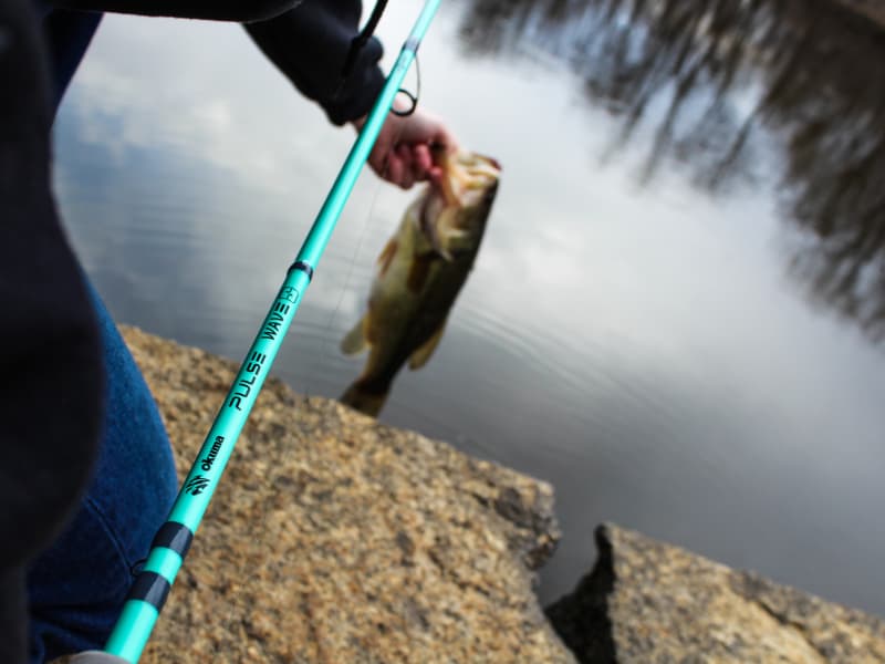 okuma 9 1 2 foot rod Aveon Combos while EVA grips provide all Okuma LBS Custom Shark Conventional