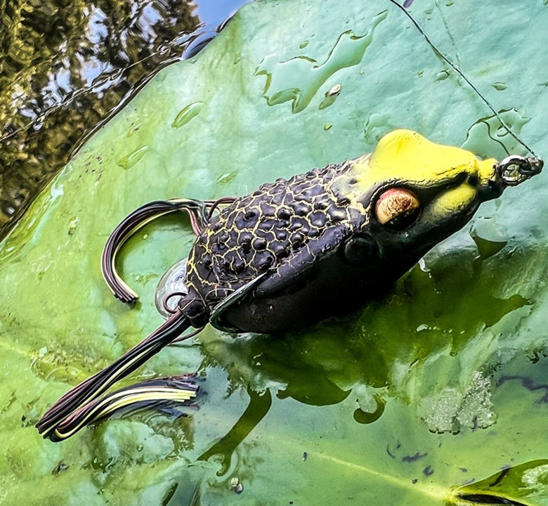 A close-up of a frog-style fishing lure resting on green water lily leaves in a pond. The lure has a bright yellow hood, a black body with a raised scale pattern, and a dark tail.