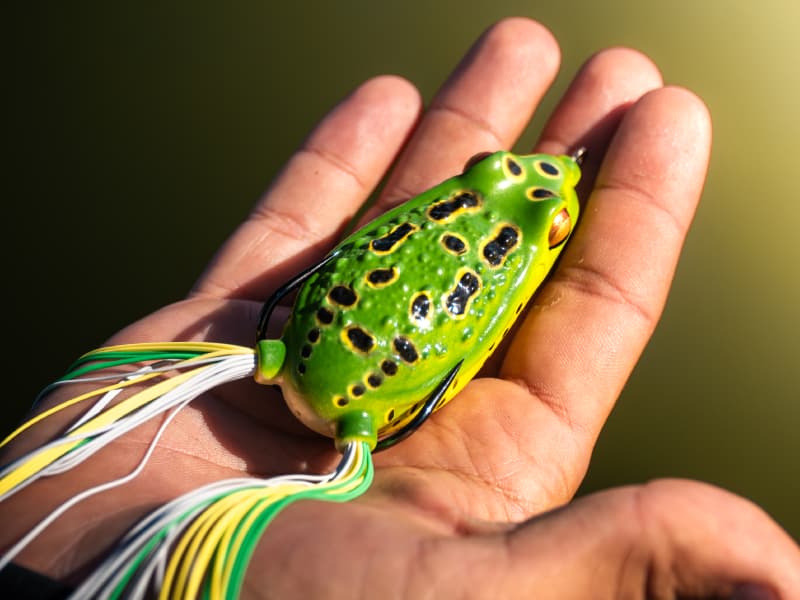 Rattle Toad Pro