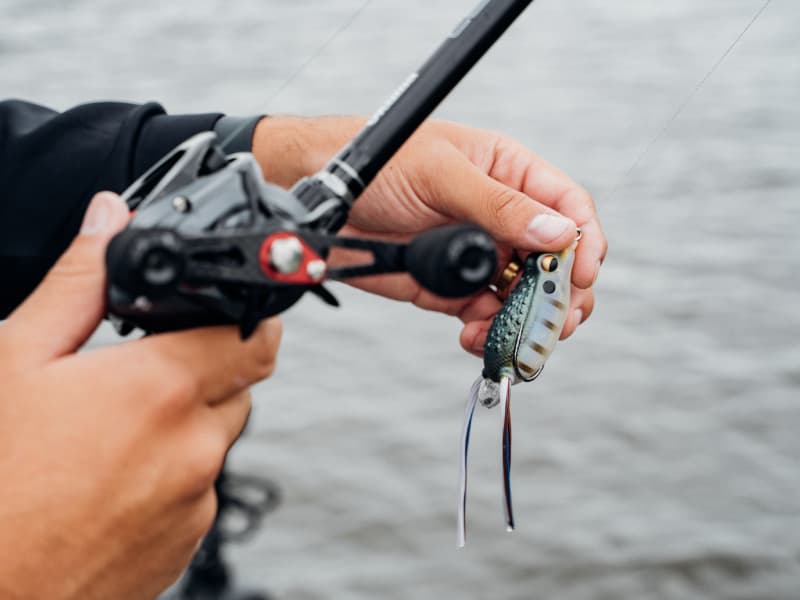 Rattle Toad Pro _ Rattle_Toad-800-02