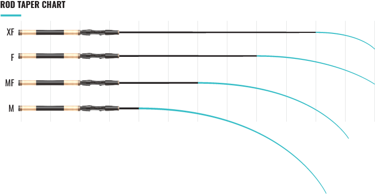 What is a Rod Taper or Action? What is the difference between tapers of the rods: XF, F, MF, M?