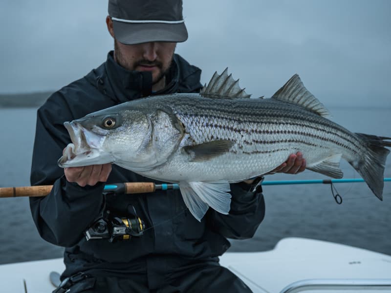 SRT Inshore Elite Rods SRTE-S-701M-FG