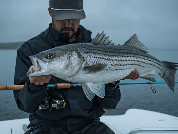 SRT Inshore Elite Rods