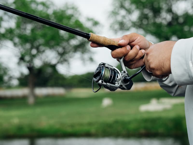 Safyre Spinning Reels _ Safyre_Spin-800-03