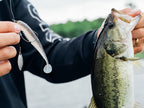 Nature Series Soft Swimbaits _ Soft_Swimboiat-800-02