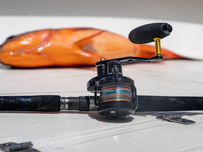 Tesoro Lever Drag Jigging Reels _ Tesoro_LDJ-800-06