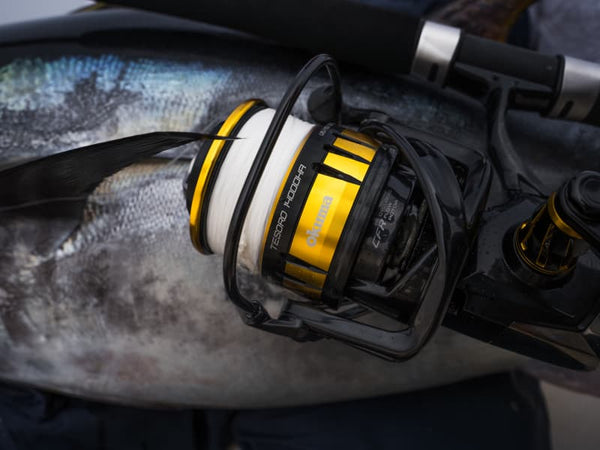 Tesoro Spinning Reel