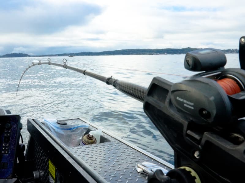 okuma boat rods Voyager Travel VSB-S-703M/MH Spinning Okumas exclusive UFR tip technology adds the lifting power needed when heavy fish dig deep Okuma Cavalla Spinning Boat Rods