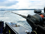 X-Troll Salmon Trolling Rods _ X-Troll-800-01
